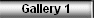 Gallery 1