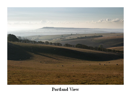 Portland View
