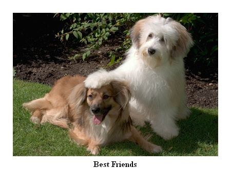 Best Friends