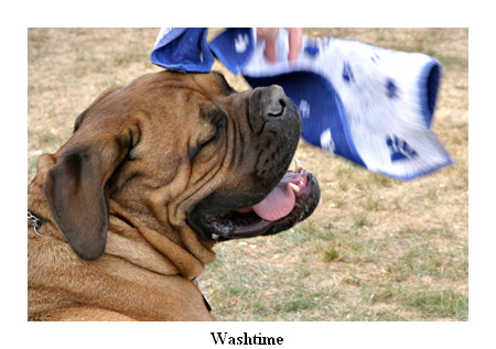 Washtime